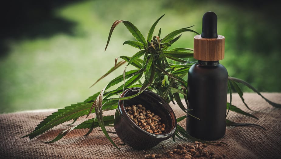 Léčivé konopí: Revoluce v moderní medicíně