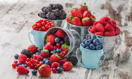 Keto dieta: Potraviny pro nízkosacharidové stravování