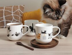 Hrnek s uchem COPPA CATS & DOGS ASA Selection - surprised cats - Image 2