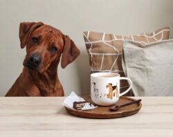 Hrnek s uchem COPPA CATS & DOGS ASA Selection - basset dogs - Image 2