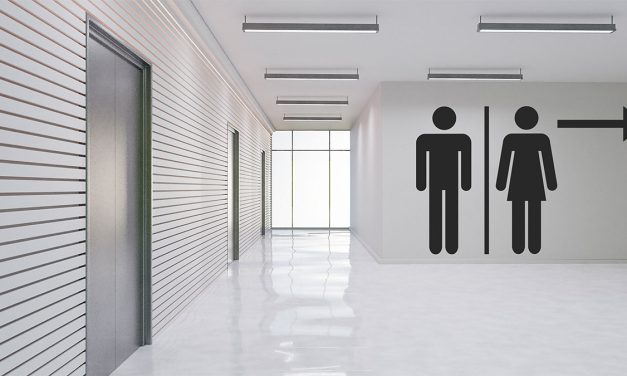 Při zařizování firemní toalety nepodceňujte detaily! Na těch záleží nejvíce