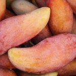 Jak poznat zralé mango? Pomatem, vůní i stopkou